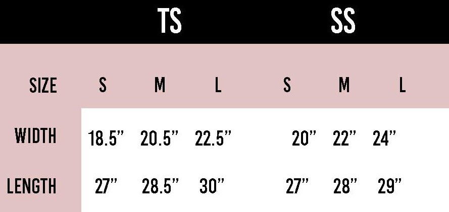 USA Flag Graphic Tee - Styled by Ashley Brooke